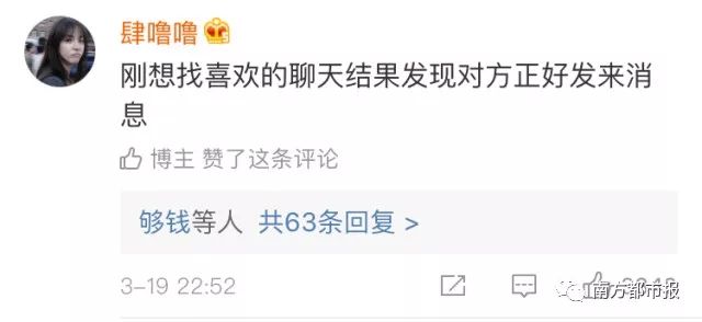 365日最新视频，解锁生活乐趣的每日小确幸