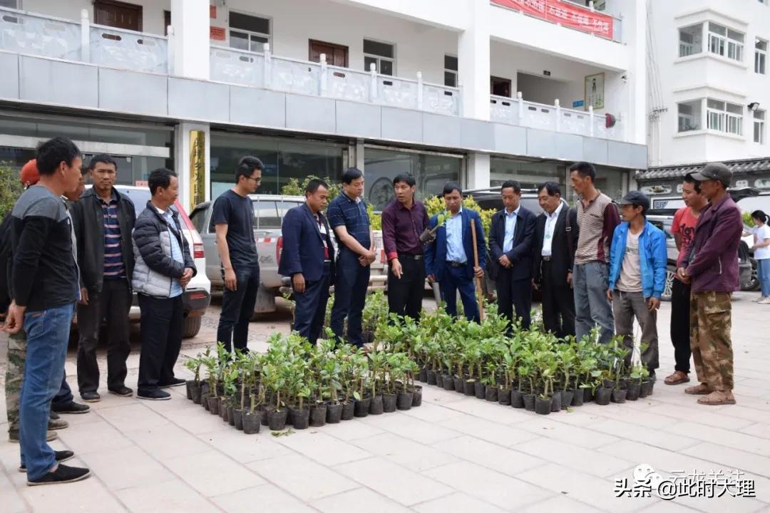 搜365兄弟视频，解锁网络视频共享的乐趣