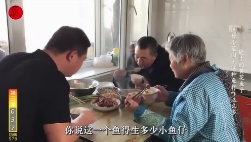 农村365，视频炖鱼里的生活哲学