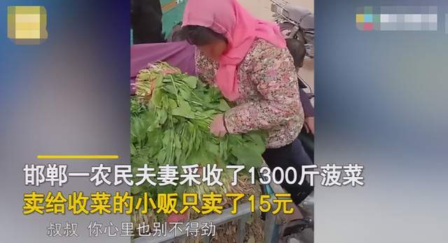 农村365的第一期视频，一个普通农民用手机拍出了什么？